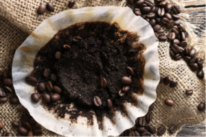 Used Coffee Grounds